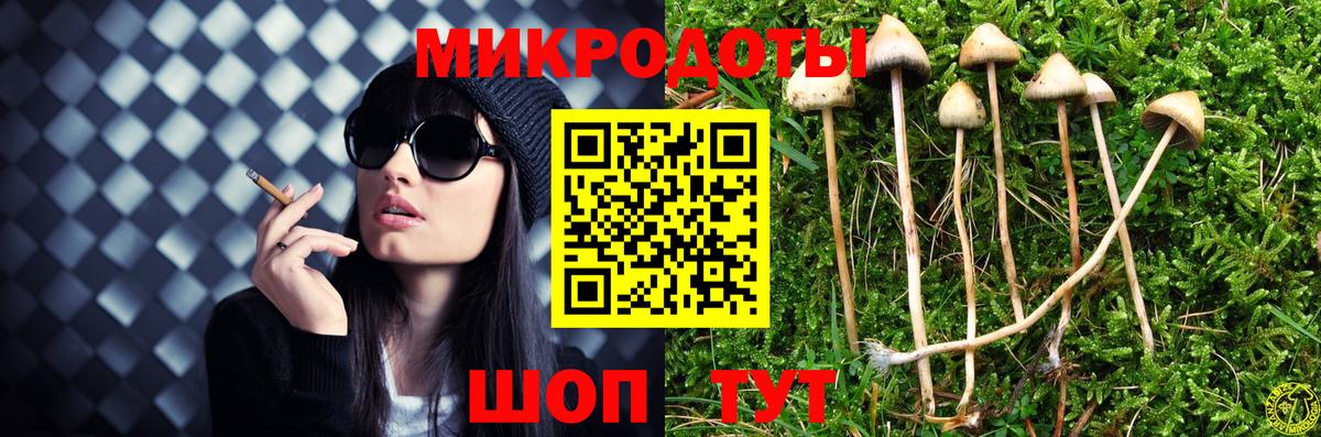 Псилоцибиновые грибы мухоморы Южно-Сахалинск